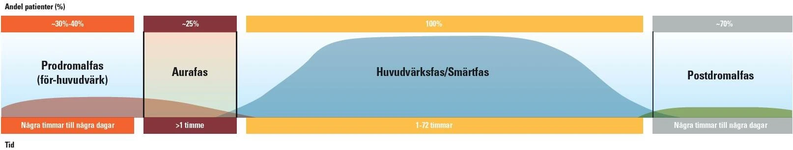 Tabell som visar olika faser vid migrän, prodromalfas, autafas, huvudvärksfas och postdromalfas. Illustration.